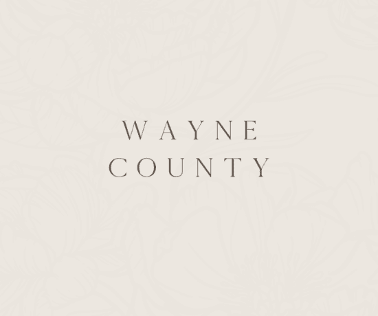 Pennsylvania Weddings Vendor Location Taxonomy Wayne County, Poconos