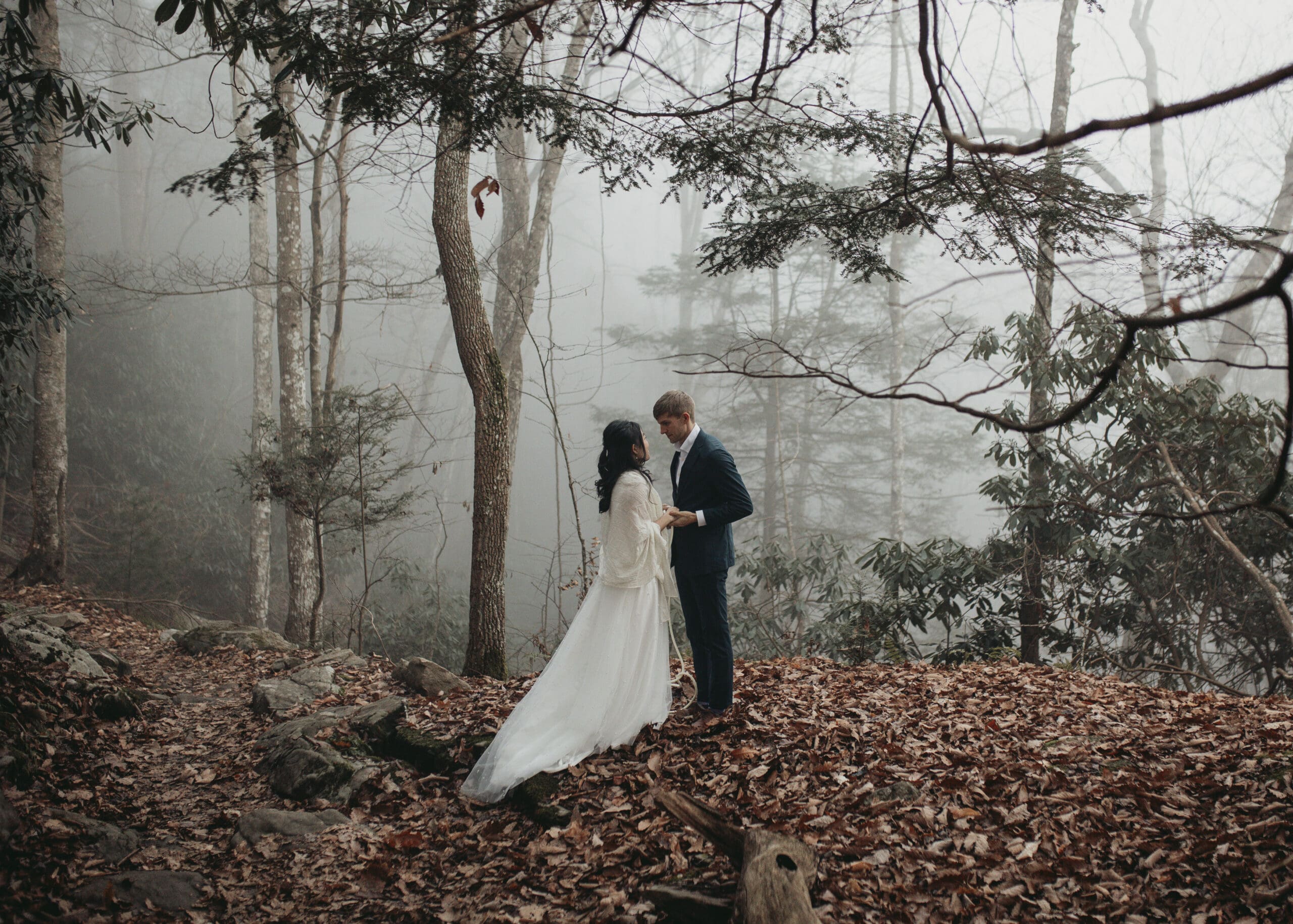 Photography Listing Category Wild North Weddings Pennsylvania Elopement Photographer